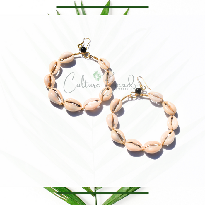 Cowrie Shell Earrings